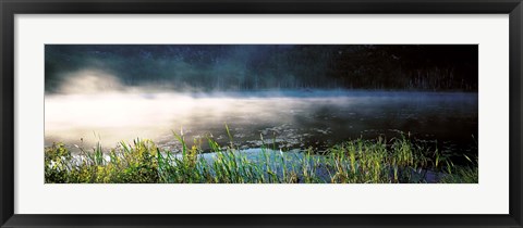 Framed Morning fog Acadia National Park ME USA Print