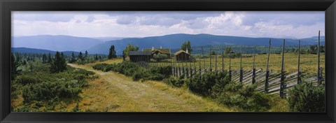 Framed Farmhouses in a field, Gudbrandsdalen, Oppland, Norway Print