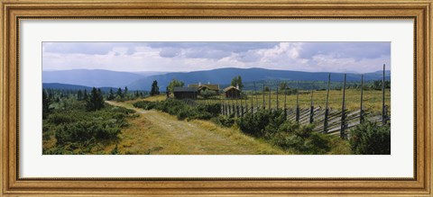 Framed Farmhouses in a field, Gudbrandsdalen, Oppland, Norway Print