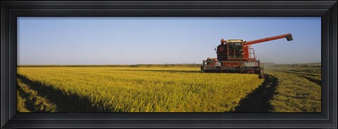 Framed Combine in a rice field, Glenn County, California, USA Print