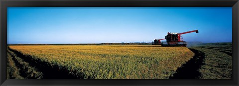 Framed Harvested rice field Glenn Co CA USA Print