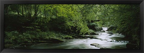 Framed River flowing in the forest, Aberfeldy, Perthshire, Scotland Print