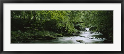 Framed River flowing in the forest, Aberfeldy, Perthshire, Scotland Print