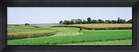 Framed Harvesting, Farm, Frederick County, Maryland, USA Print