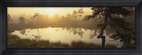 Framed Reflection of trees in a lake, Vastmanland, Sweden Print
