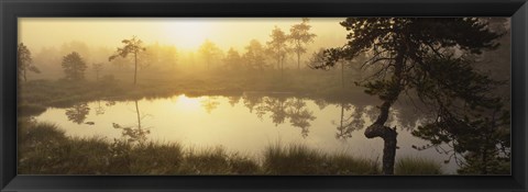 Framed Reflection of trees in a lake, Vastmanland, Sweden Print