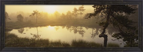Framed Reflection of trees in a lake, Vastmanland, Sweden Print