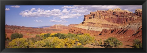 Framed Orchards in front of sandstone cliffs, Capitol Reef National Park, Utah, USA Print