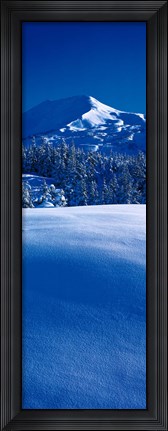 Framed Turnagain Pass Kenai Peninsula, Alaska Print