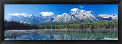 Framed Herbert Lake Banff National Park Canada Print