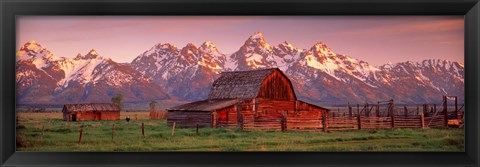 Framed Barn Grand Teton National Park WY USA Print