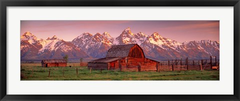 Framed Barn Grand Teton National Park WY USA Print