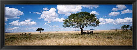 Framed Elephants, Kenya, Africa Print