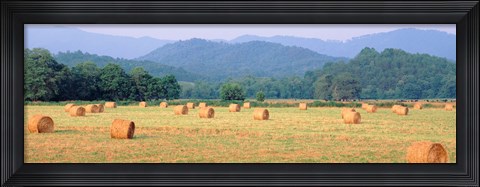Framed Hay bales in a field, Murphy, North Carolina, USA Print