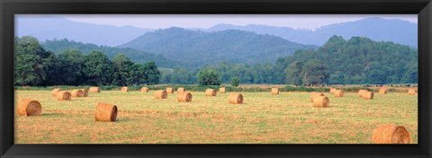 Framed Hay bales in a field, Murphy, North Carolina, USA Print