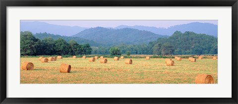 Framed Hay bales in a field, Murphy, North Carolina, USA Print