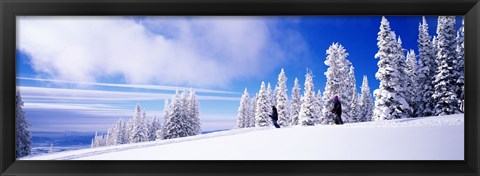 Framed Steamboat Springs, Colorado, USA Print