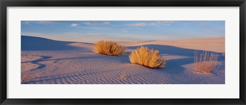 Framed USA, New Mexico, White Sands, sunset Print