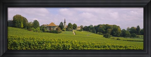 Framed WIne country with buildings in the background, Village near Geneva, Switzerland Print