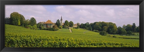 Framed WIne country with buildings in the background, Village near Geneva, Switzerland Print