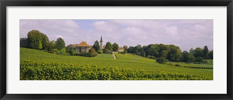 Framed WIne country with buildings in the background, Village near Geneva, Switzerland Print