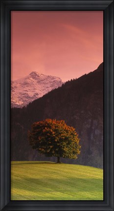 Framed Switzerland, Alps Print