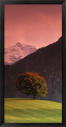 Framed Switzerland, Alps Print