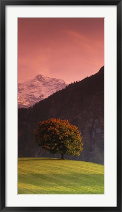 Framed Switzerland, Alps Print