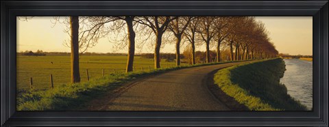 Framed Winding Road, Trees, Oudendijk, Netherlands Print