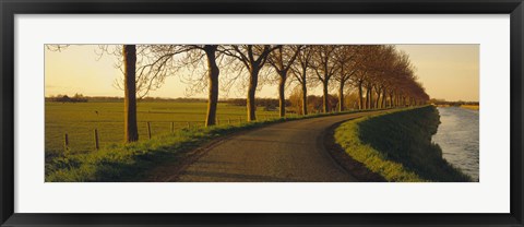 Framed Winding Road, Trees, Oudendijk, Netherlands Print