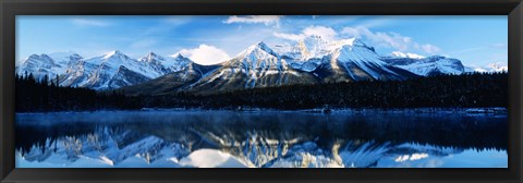 Framed Herbert Lake, Banff National Park, Alberta, Canada Print
