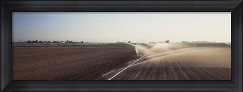 Framed USA, California, Central Valley, Irrigation in the field Print