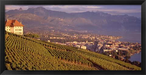 Framed Vineyard at a hillside, Lake Geneva, Vevey, Vaud, Switzerland Print