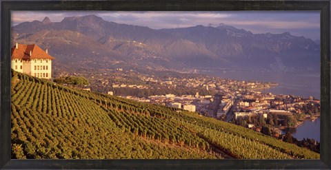 Framed Vineyard at a hillside, Lake Geneva, Vevey, Vaud, Switzerland Print
