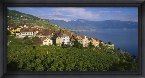 Framed Village Rivaz between Vineyards &amp; Mts. Lake Geneva Switzerland Print