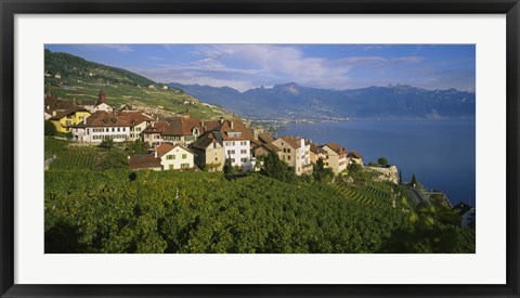 Framed Village Rivaz between Vineyards &amp; Mts. Lake Geneva Switzerland Print