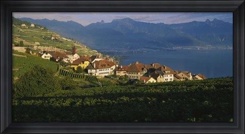 Framed Village on a hillside, Rivaz, Lavaux, Switzerland Print