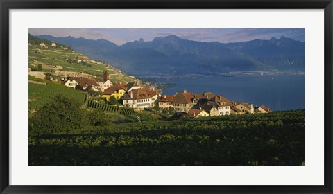 Framed Village on a hillside, Rivaz, Lavaux, Switzerland Print