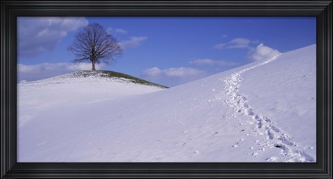 Framed Switzerland, View of a lone Linden tree on a hill Print