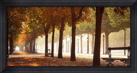 Framed France, Paris, Champs Elysees Print