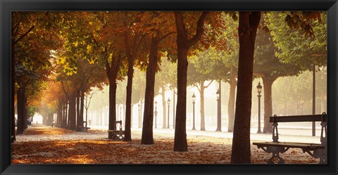 Framed France, Paris, Champs Elysees Print