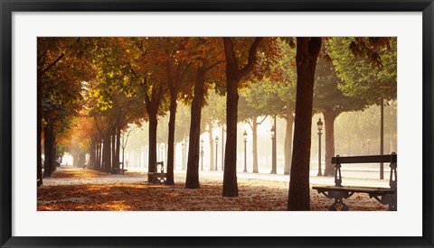 Framed France, Paris, Champs Elysees Print