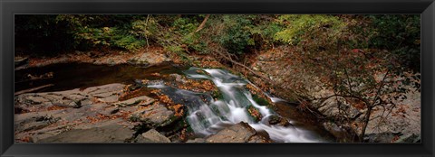 Framed White Water The Great Smoky Mountains TN USA Print