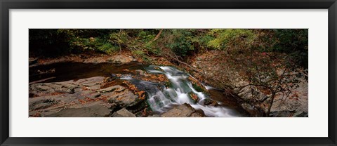 Framed White Water The Great Smoky Mountains TN USA Print