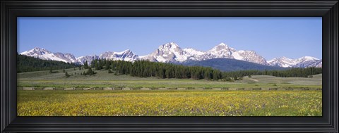 Framed Flowers in a field with a mountain in the background, Sawtooth Mountains, Sawtooth National Recreation Area, Stanley, Idaho, USA Print