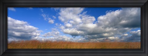Framed Hayden Prairie, Iowa Print