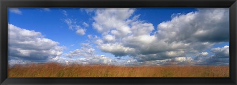 Framed Hayden Prairie, Iowa Print