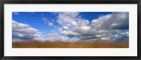 Framed Hayden Prairie, Iowa Print