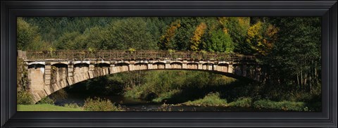 Framed Bridge in a forest, Black Forest, Germany Print
