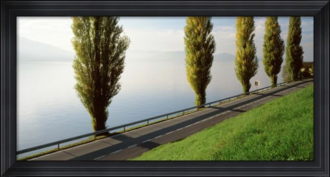 Framed Trees along a lake, Lake Zug, Switzerland Print
